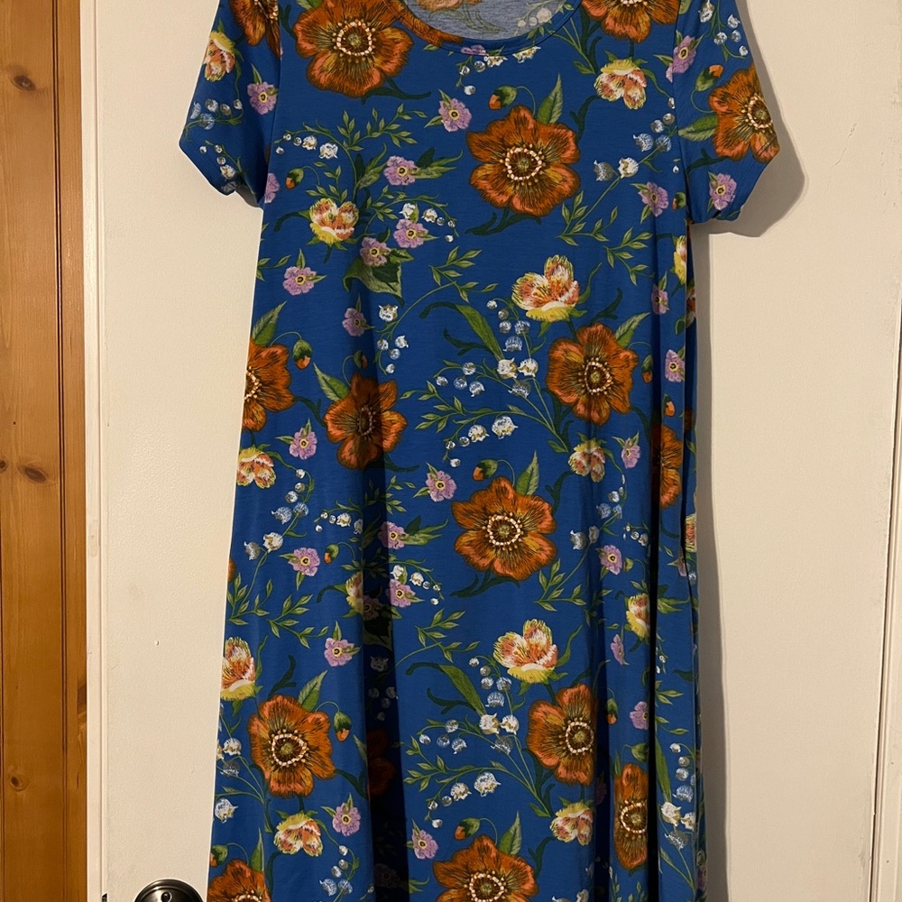 LuLaRoe Floral Blue Dress